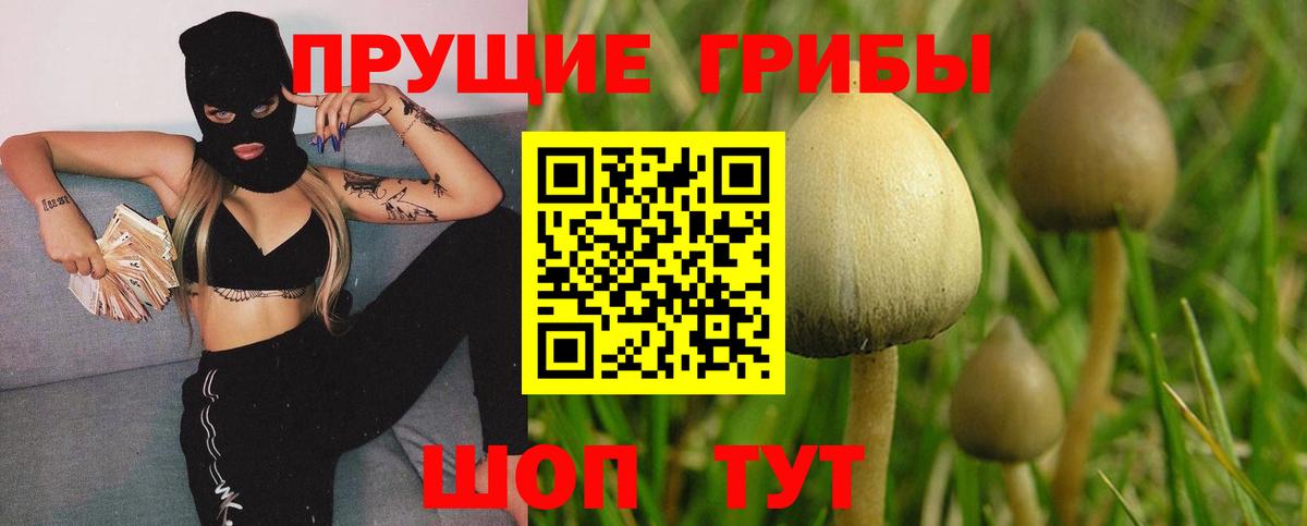 Галлюциногенные грибы GOLDEN TEACHER Апатиты